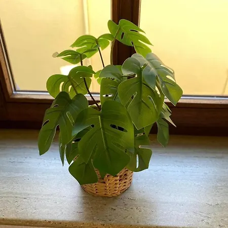 Weilburg-domizil 아파트