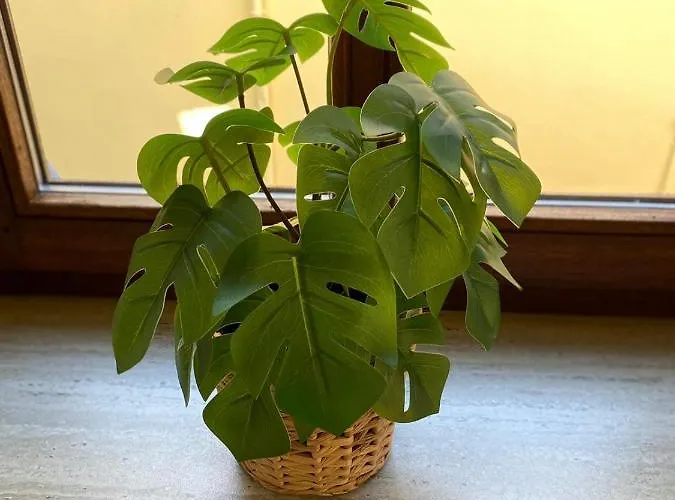 Weilburg-domizil Apartment